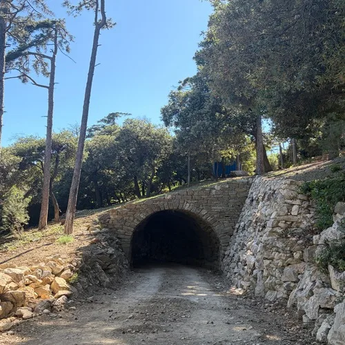 Castello di Miramare, rinasce l’Antica Strada Carrozzabile