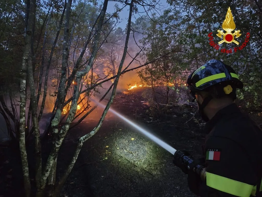 Dopo due giorni spento incendio sul Carso triestino