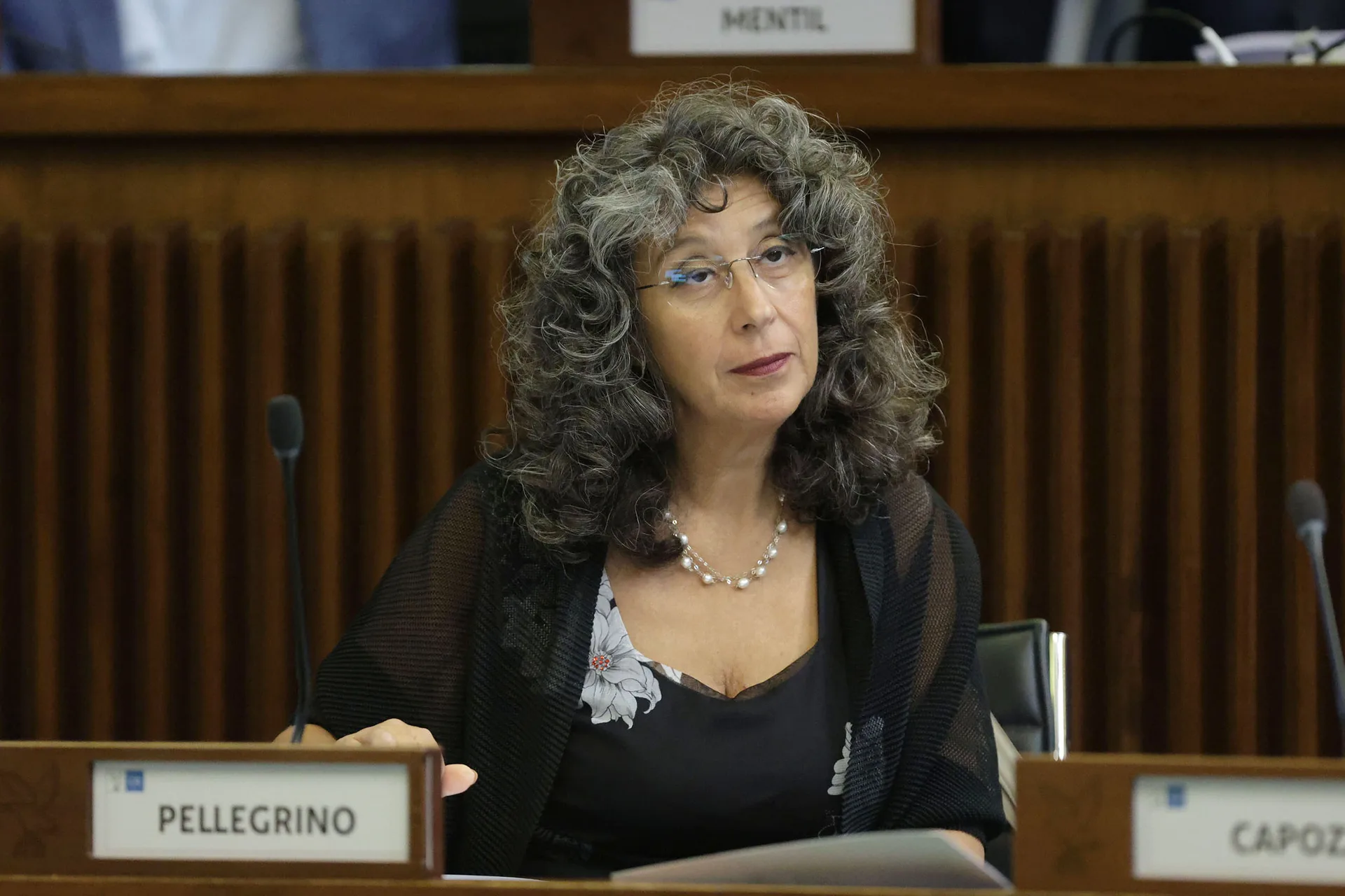 Clima. Pellegrino (Avs): "Un disastro ma la Giunta boccia oasi di frescura"