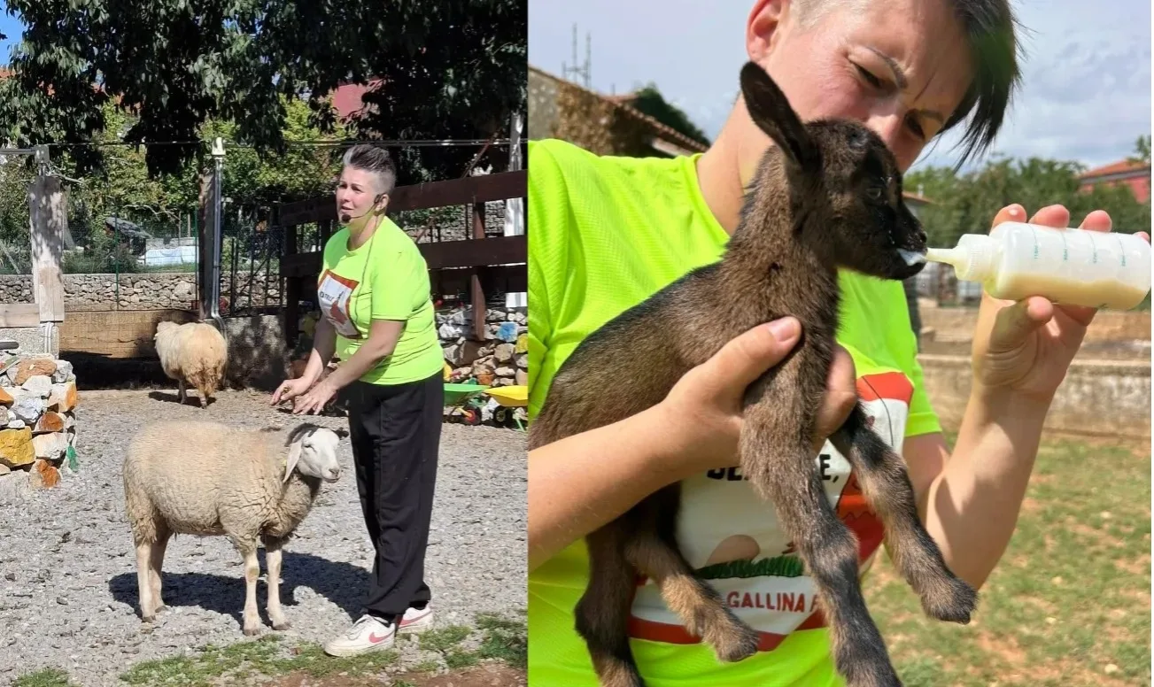 Beatrice la gallina felice”, parla la titolare dopo lo stop: «Mi sono sentita sola e persa»