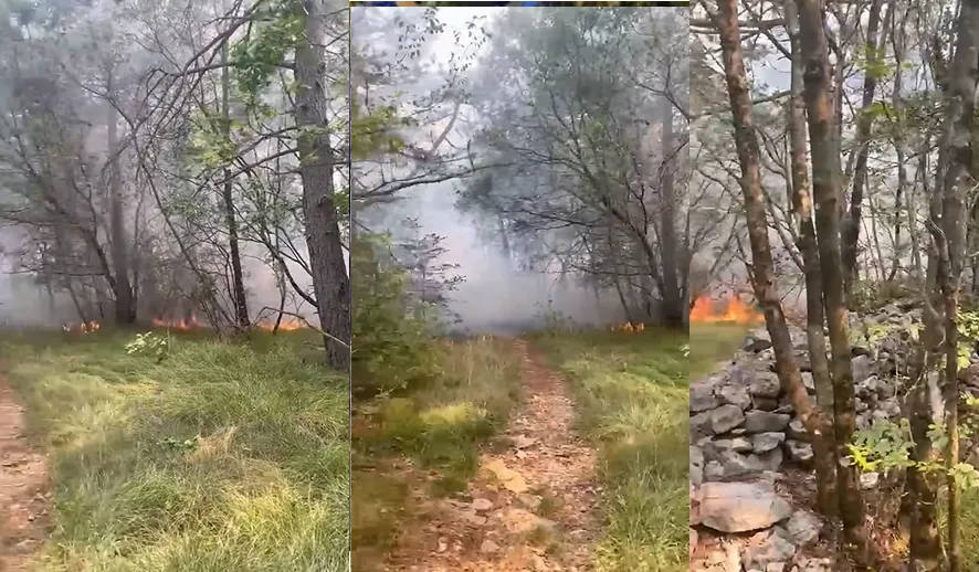 Trieste, incendio boschivo a Padriciano: in azione volontari, Corpo Forestale ed elicottero (VIDEO)
