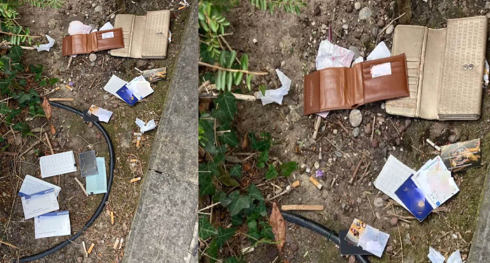 Trieste, portafogli svuotati e gettati a terra in Riva Grumula: ritrovamento accanto a fermata del bus