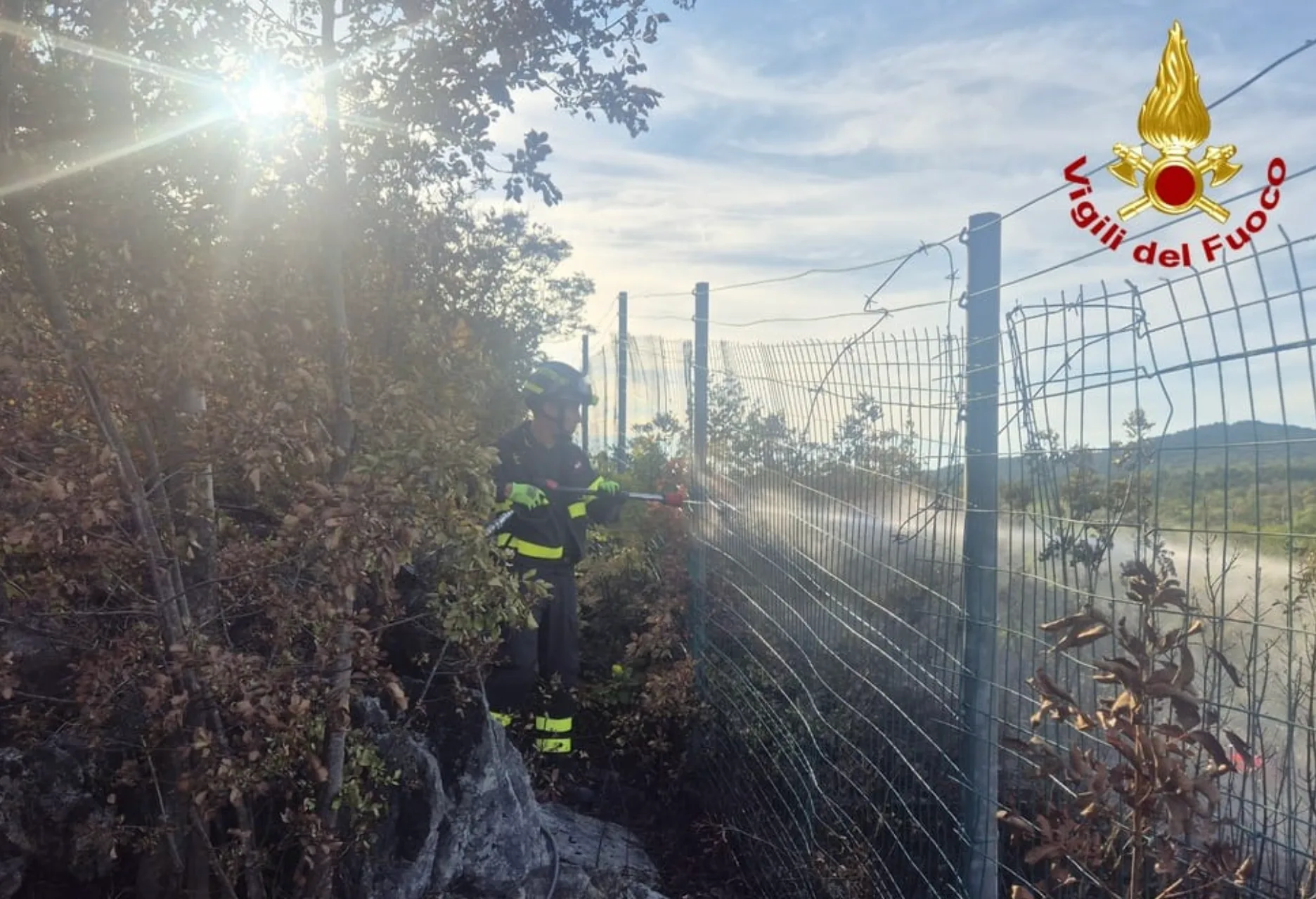 Incendio di interfaccia, ripresa delle fiamme a Sistiana: intervento dei vigili del fuoco vicino all'autostrada A4