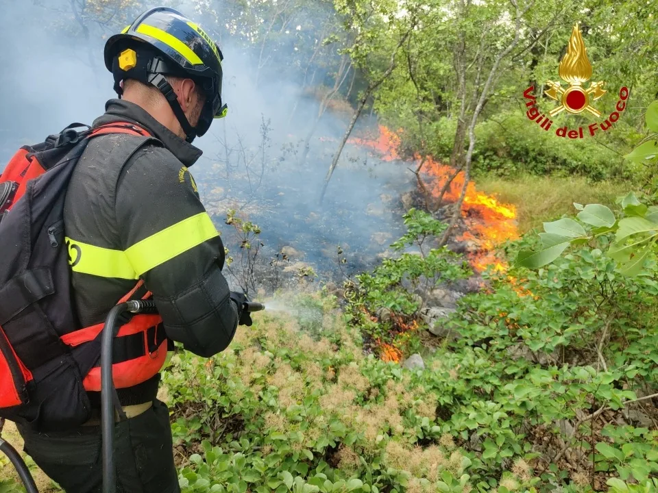 Carso ancora in fiamme: nuovo incendio a Monrupino nella stessa zona del rogo di venerdì