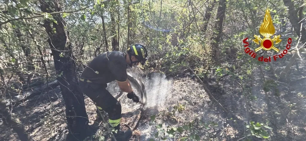 Carso, ladri in azione durante l’emergenza incendio: spaccato il finestrino di un’auto della Forestale