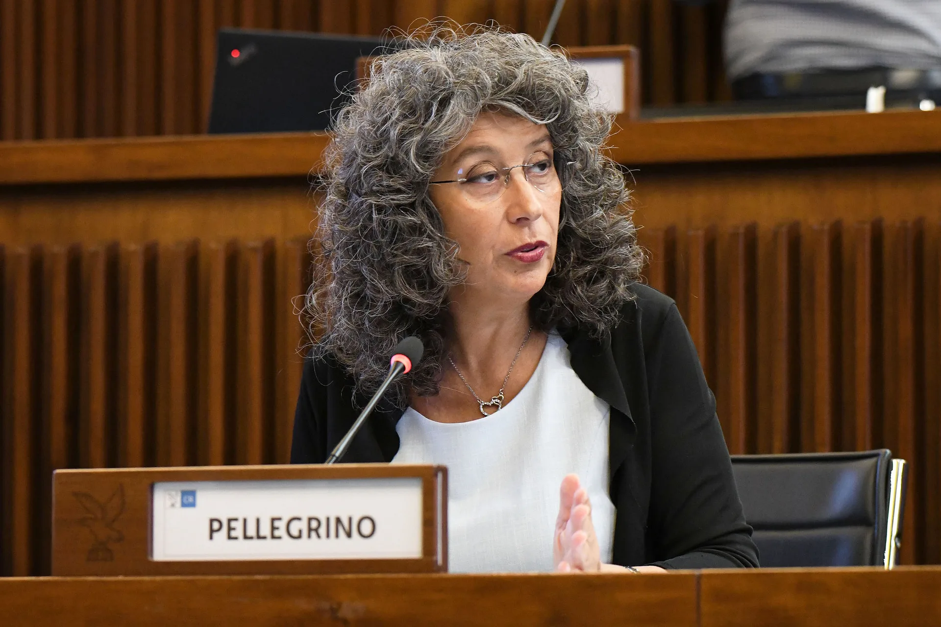 Province. Pellegrino (Avs): "Garantire pari contratto ai dipendenti degli enti"