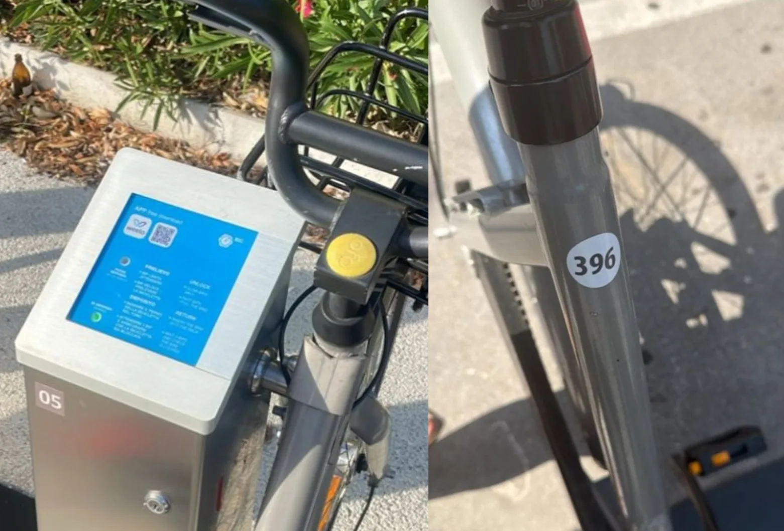 Bike sharing a Trieste, la lettera di una giovane utente: “App lenta e biciclette da manutenere”