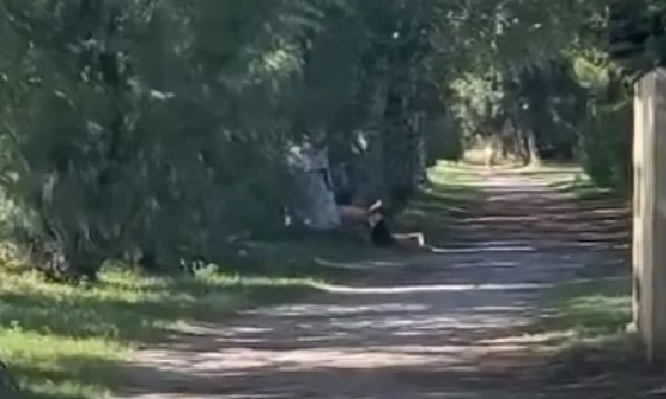 Villaggio del Pescatore, coppia di sporcaccioni sul lungomare: «Facevano sporchezzi spinti alle 15» (VIDEO)