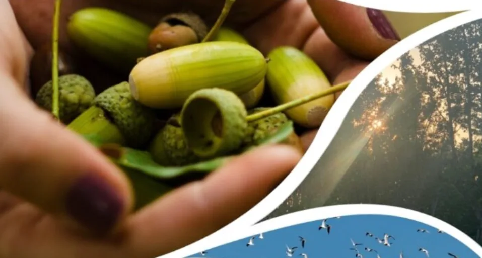 "Natura e scienza in città": al Giardino di Ponziana alla scoperta degli uccelli urbani con l'esperto Dorian Lorenzutti