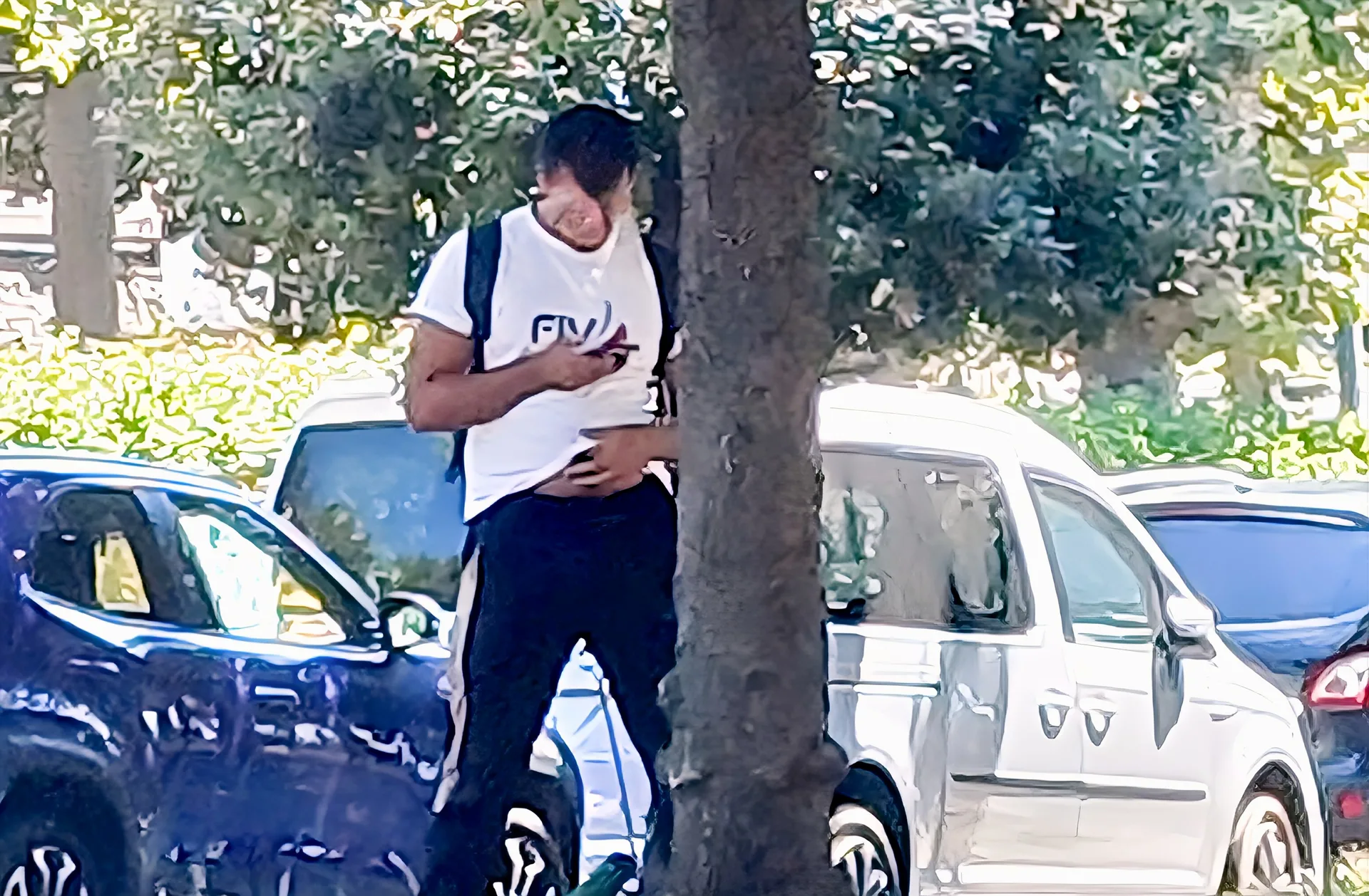 Trieste, sconcerto alla pineta di Barcola: «Urina e si masturba in pieno giorno»