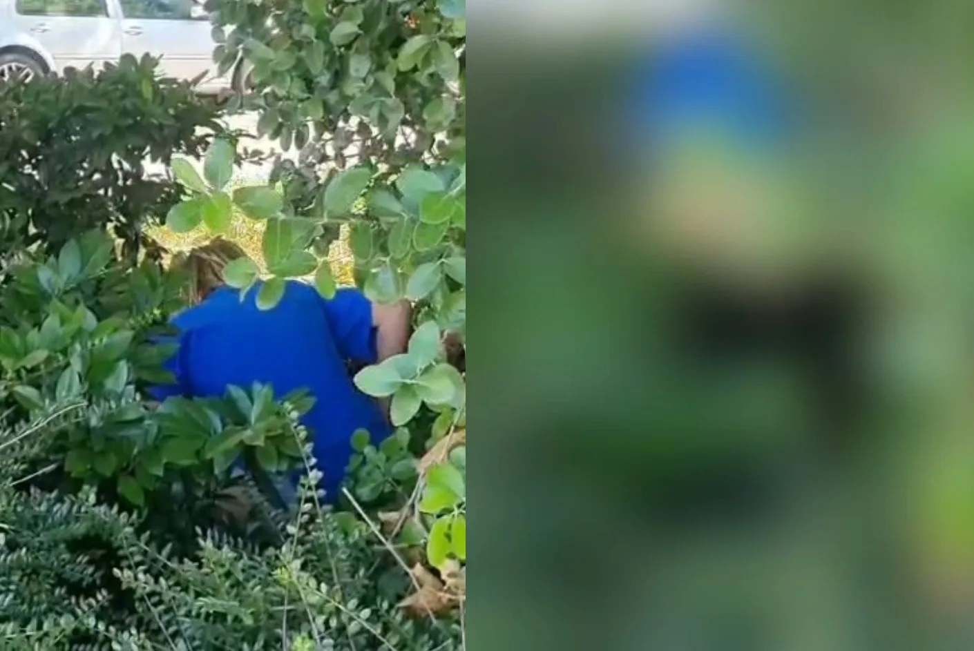 Degrado urbano: donna sorpresa a defecare nei cespugli della Stazione Rogers (VIDEO)