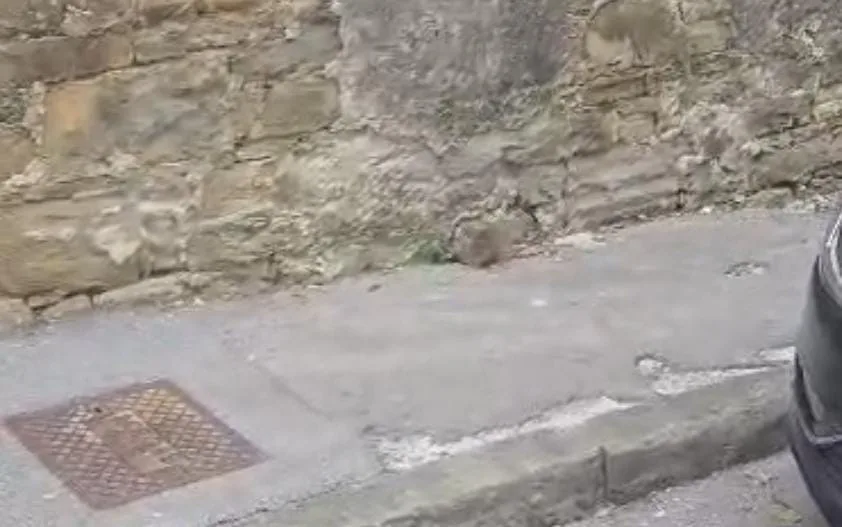 Topi in pieno giorno in via Bazzoni, uno entra nel parco della villa (VIDEO)