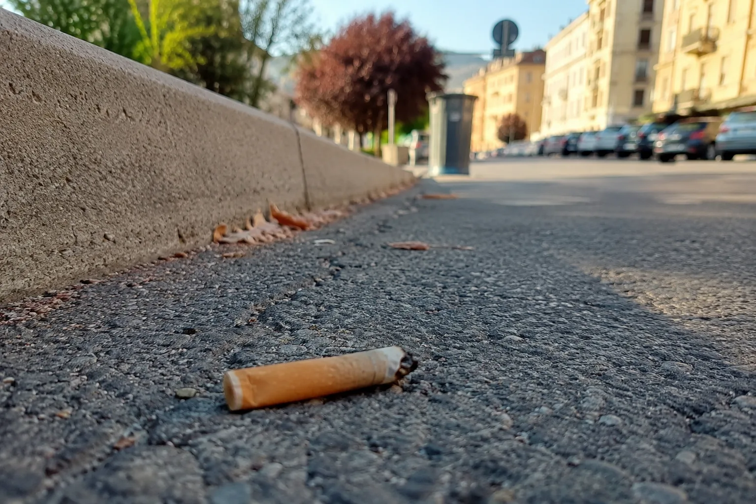Trieste, mozziconi abbandonati sui marciapiedi: “Davvero costa così tanto usare un cestino?”