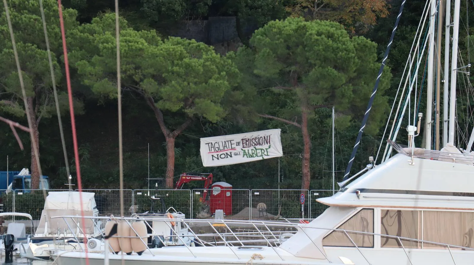 "Tagliate le emissioni, non gli alberi!": presidio a Trieste contro l'abbattimento dei pini di Grignano