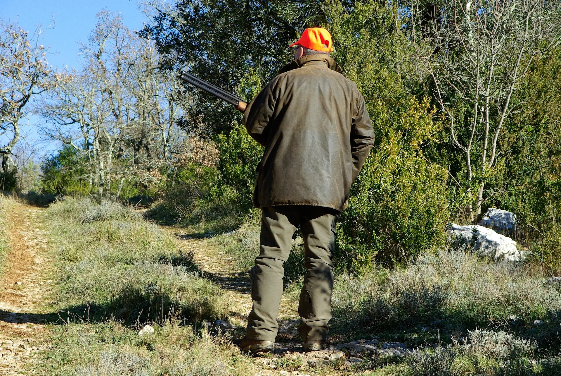 Cacciatore spara a una quaglia ma centra e ferisce un runner