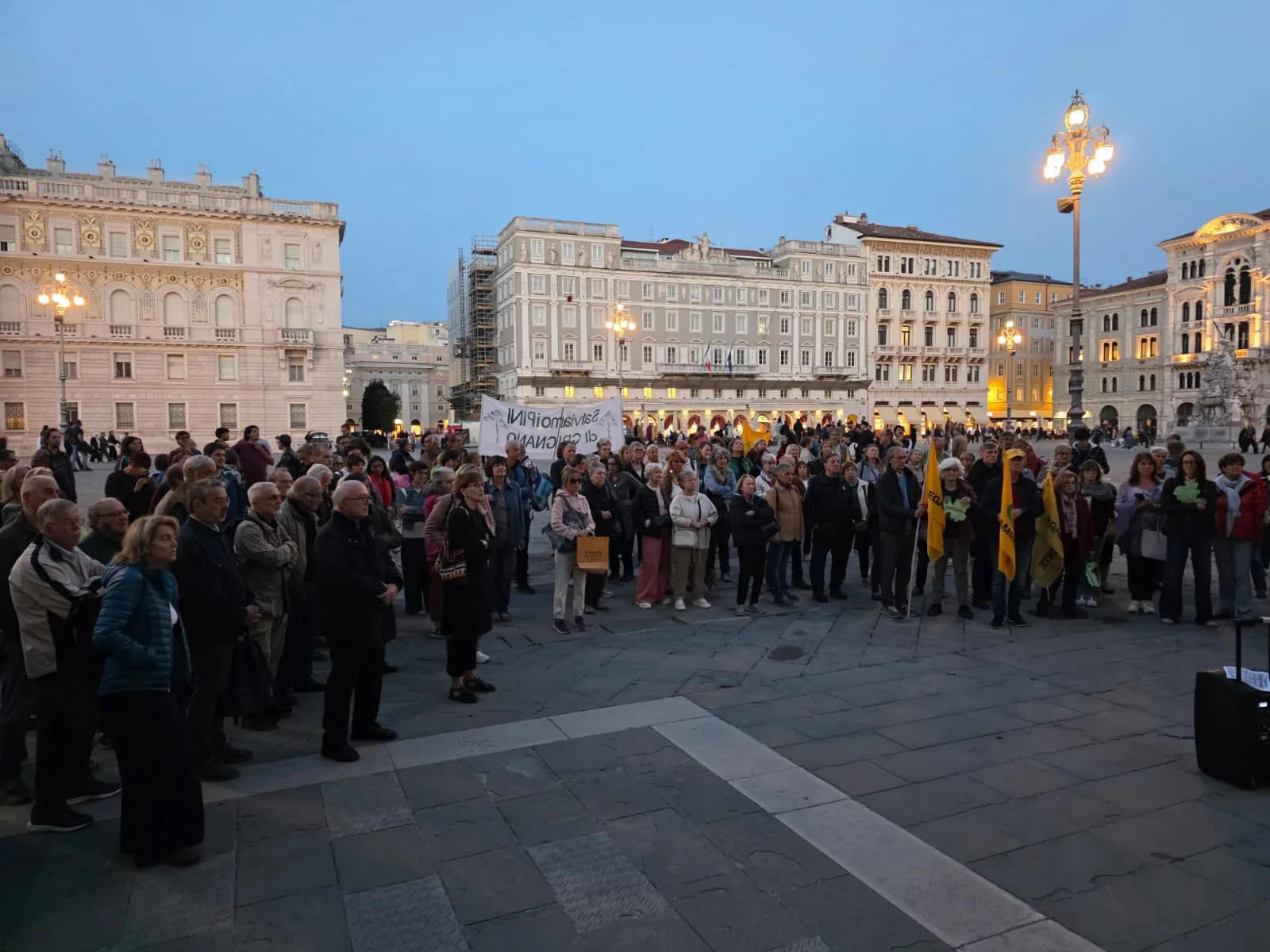 Grignano, volano a quota 1000 le firme per chiedere a Fedriga la sospensione urgente dell'abbattimento dei pini