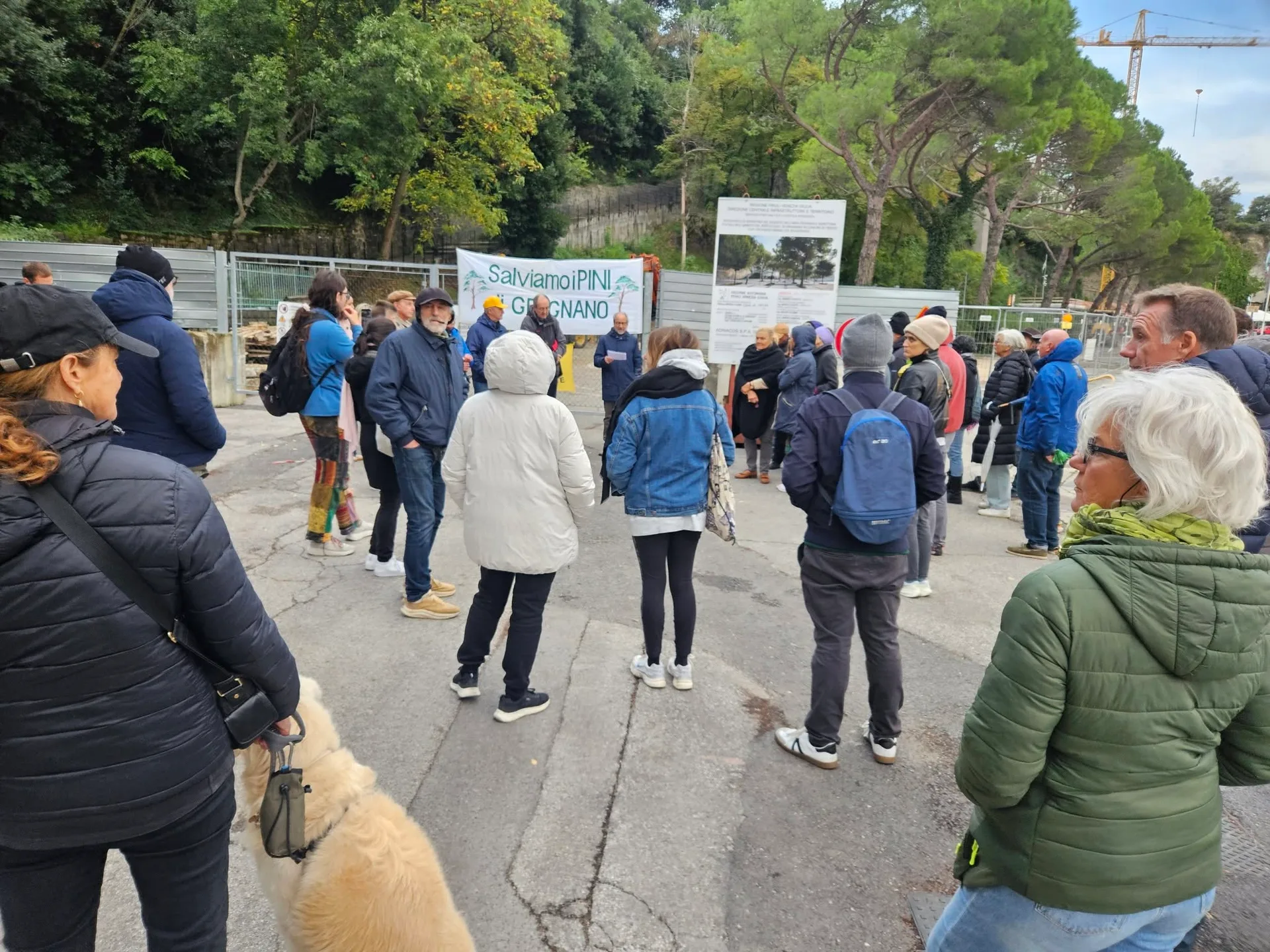 Grignano, sotto pioggia e vento per salvare i pini: nuovo presidio al porticciolo