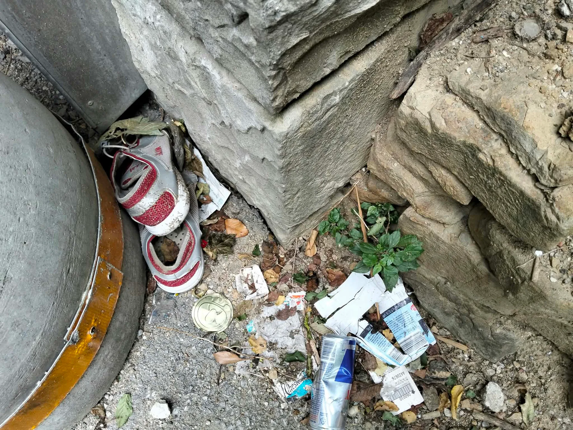 Pista ciclabile di San Giacomo invasa dai rifiuti: cinque volontari del GAAST raccolgono 25 sacchi