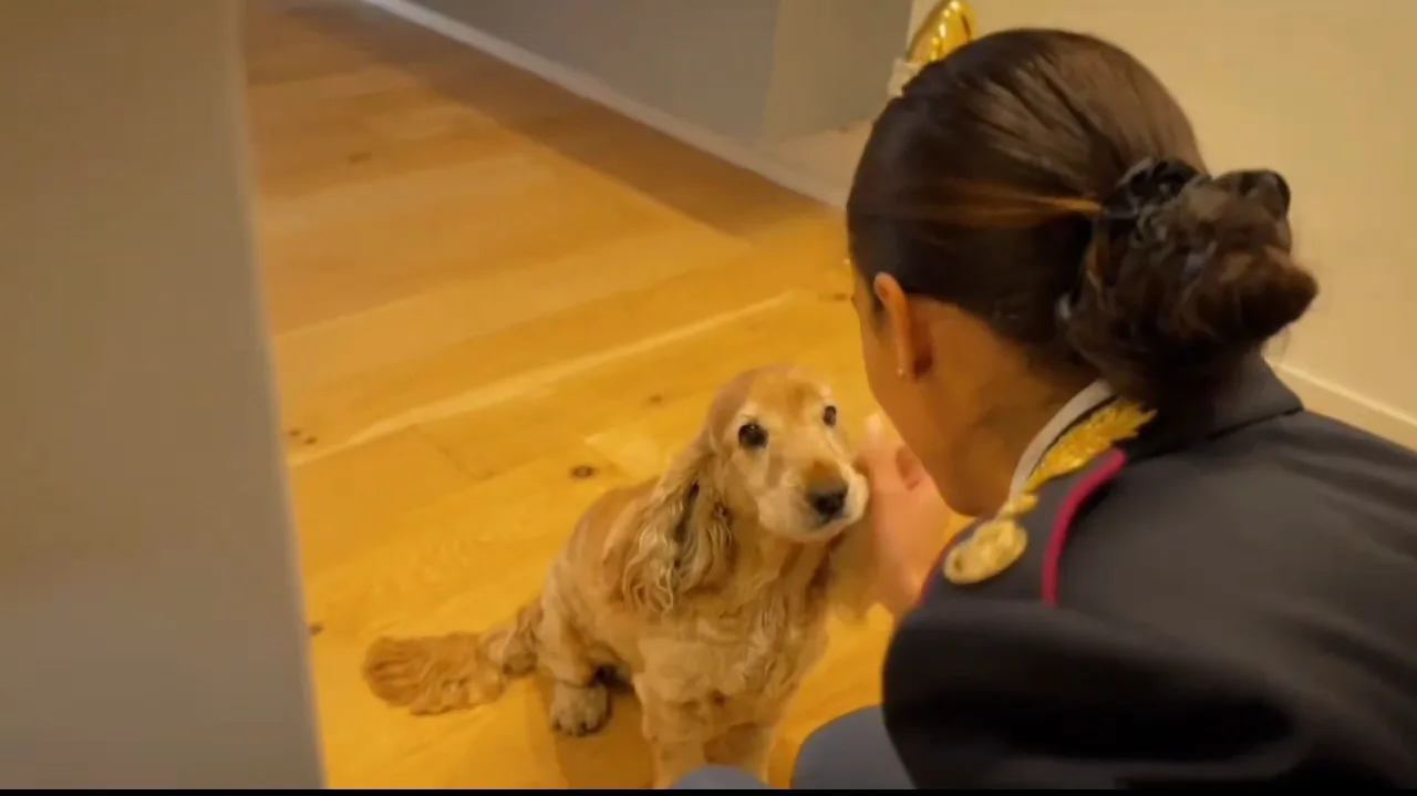 La Polizia lancia un nuovo spot contro l'abbandono degli animali: "L'amicizia è una cosa seria" (VIDEO)