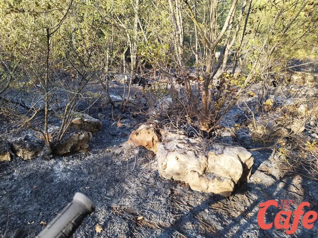 Trieste, incendio sul Carso ancora attivo: notte di paura a Padriciano, elicotteri di nuovo in volo (FOTO)