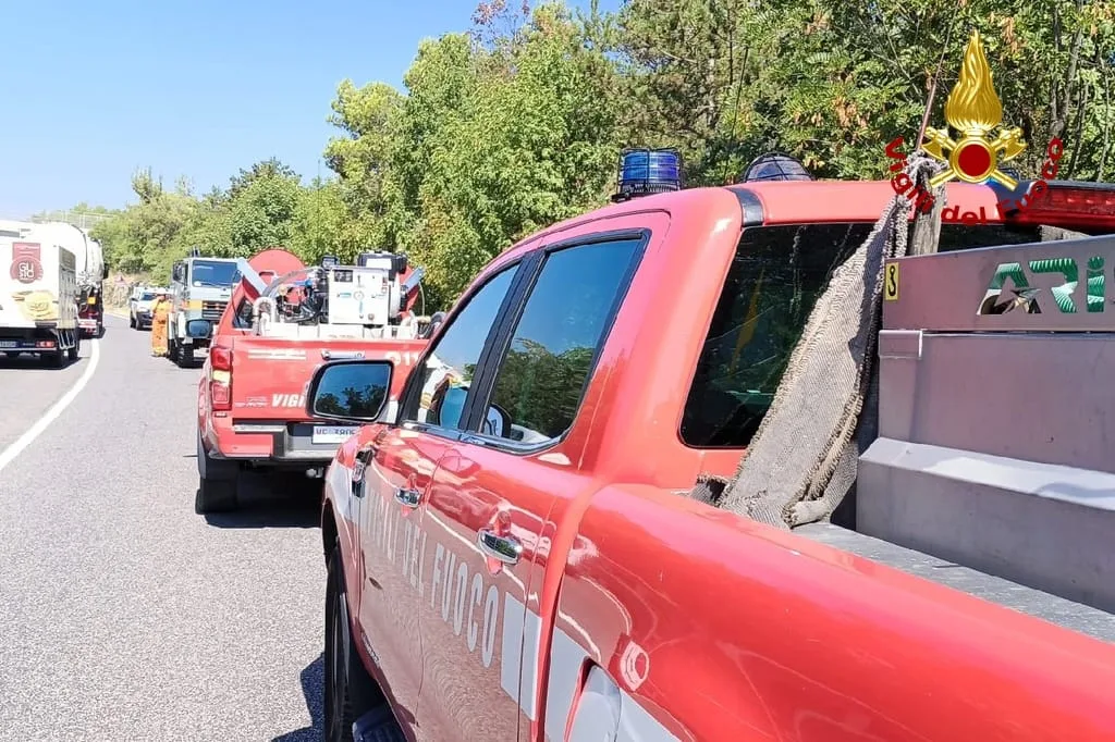 Incendio di vegetazione lungo la SS14 tra Monfalcone e Duino: l'intervento dei Vigili del Fuoco evita il peggio