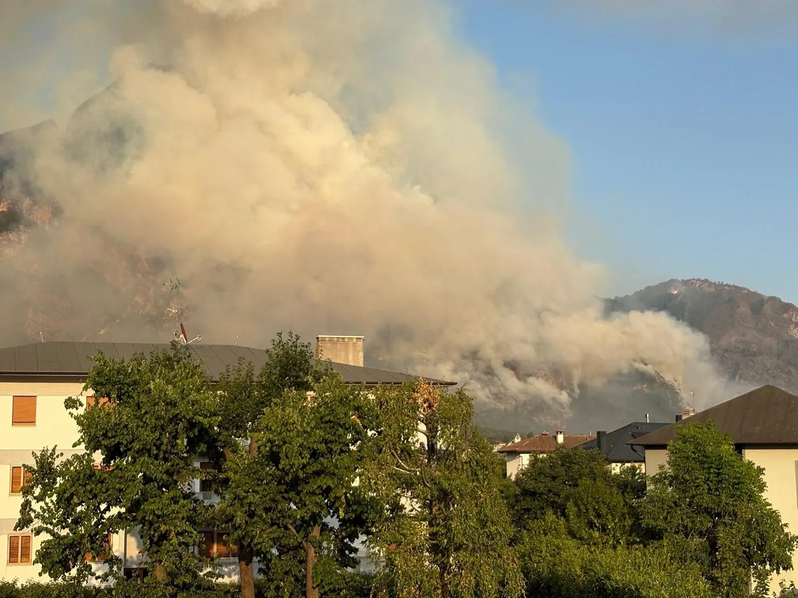 Roghi in Fvg, Cfr: la situazione della fauna selvatica al momento è sotto controllo