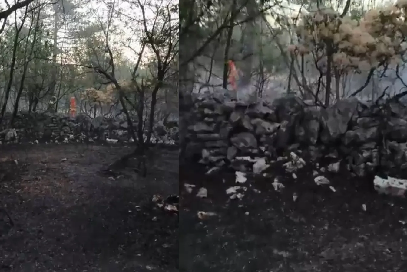Padriciano, il rogo non è ancora spento: soccorritori al lavoro anche stamattina (VIDEO)