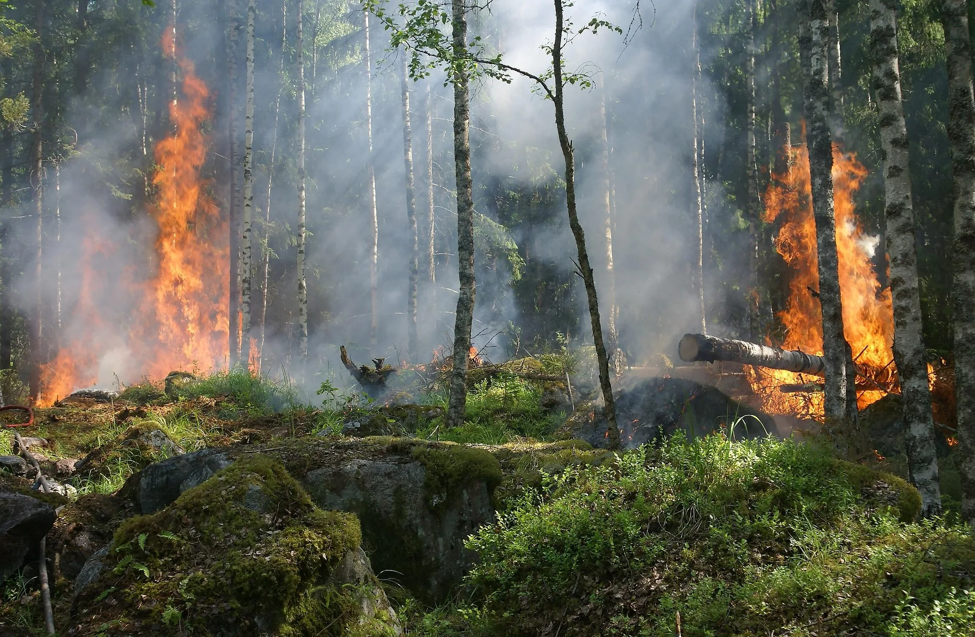 La Regione Fvg dichiara lo stato di massima pericolosità per gli incendi