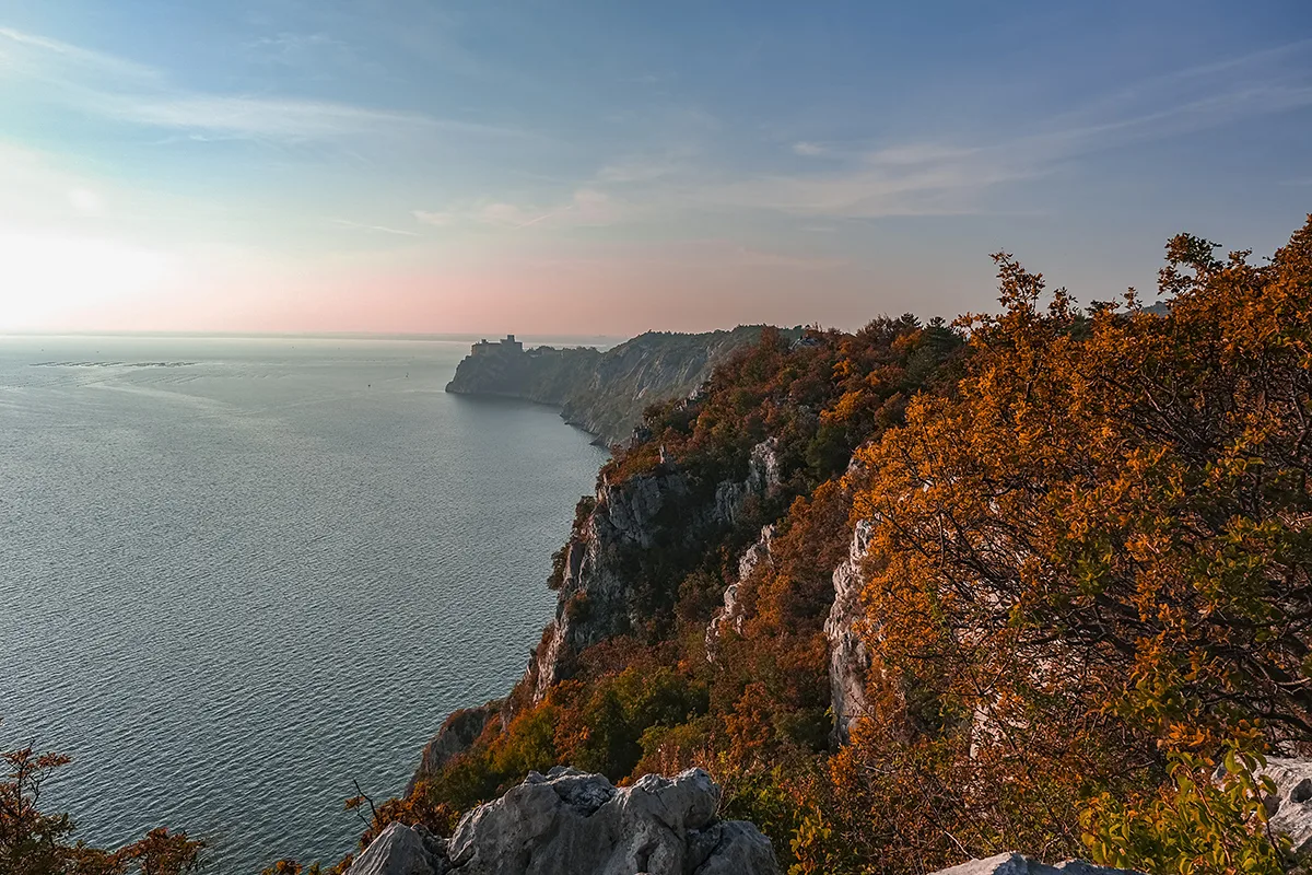 Duino Aurisina celebra i 30 anni della Riserva delle Falesie: ricerca, biodiversità e nuove sfide al centr