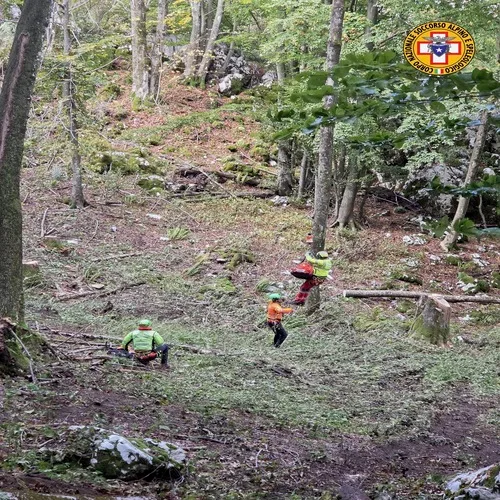 Infortunio nei boschi di Malga Covria: 28enne soccorso con l'elisoccorso e trasportato a Udine