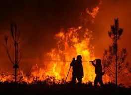 Antincendio boschivo. Zalukar: "Carenze nei dispositivi di protezione delle guardie forestali"