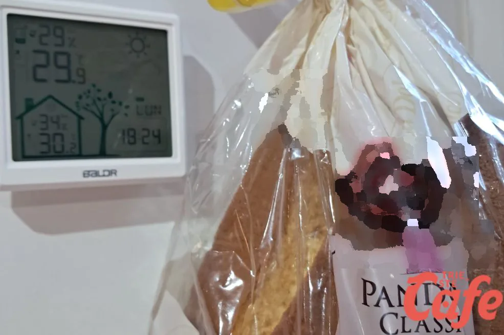 Trieste, il primo pandoro di settembre: un piccolo anticipo di Natale che scalda il cuore
