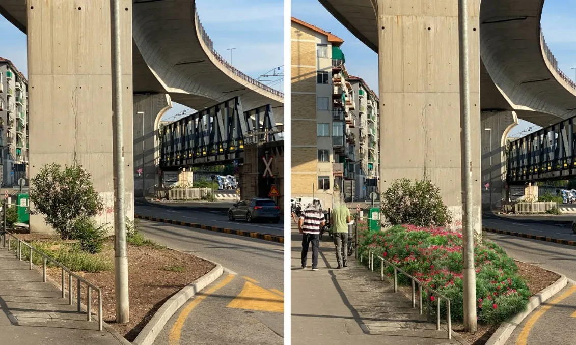 Proposta sotto il viadotto di via Svevo: oleandri nani per ridare colore all’ingresso delle Torri