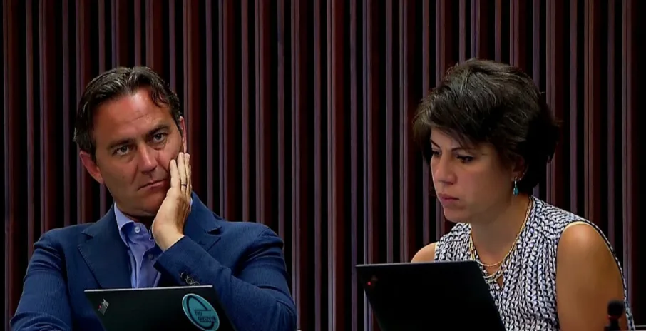 Legge delega e Centrale di Krško, Moretuzzo e Massolino: «Il nucleare  è un errore strategico"